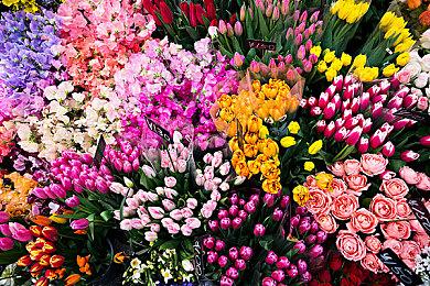 SNK发布《龙虎之拳》神秘预告 或将公布系列新作