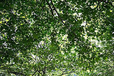 《破晓传说》正式上线Steam 总体评价“特别好评”